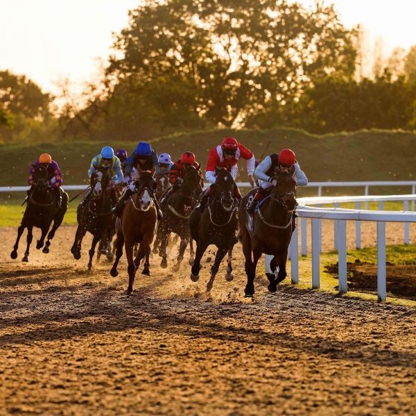 Horse race photo on a race day.