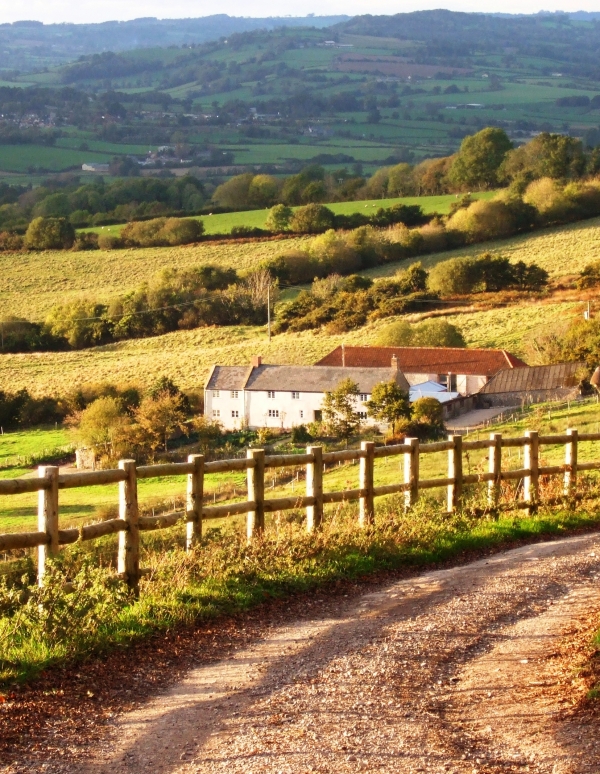 River Cottage bathed in sun 