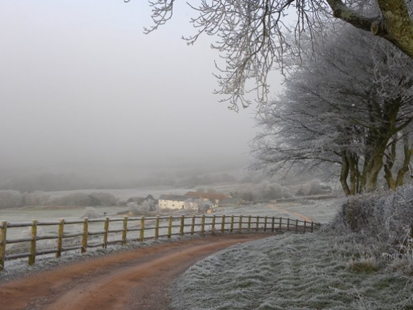 River Cottage winter wonderland